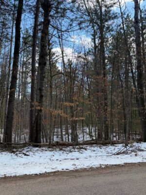 TBD E Long Lake Road Danbury WI 54830 — photo 1