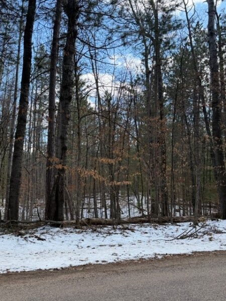 TBD E Long Lake Road