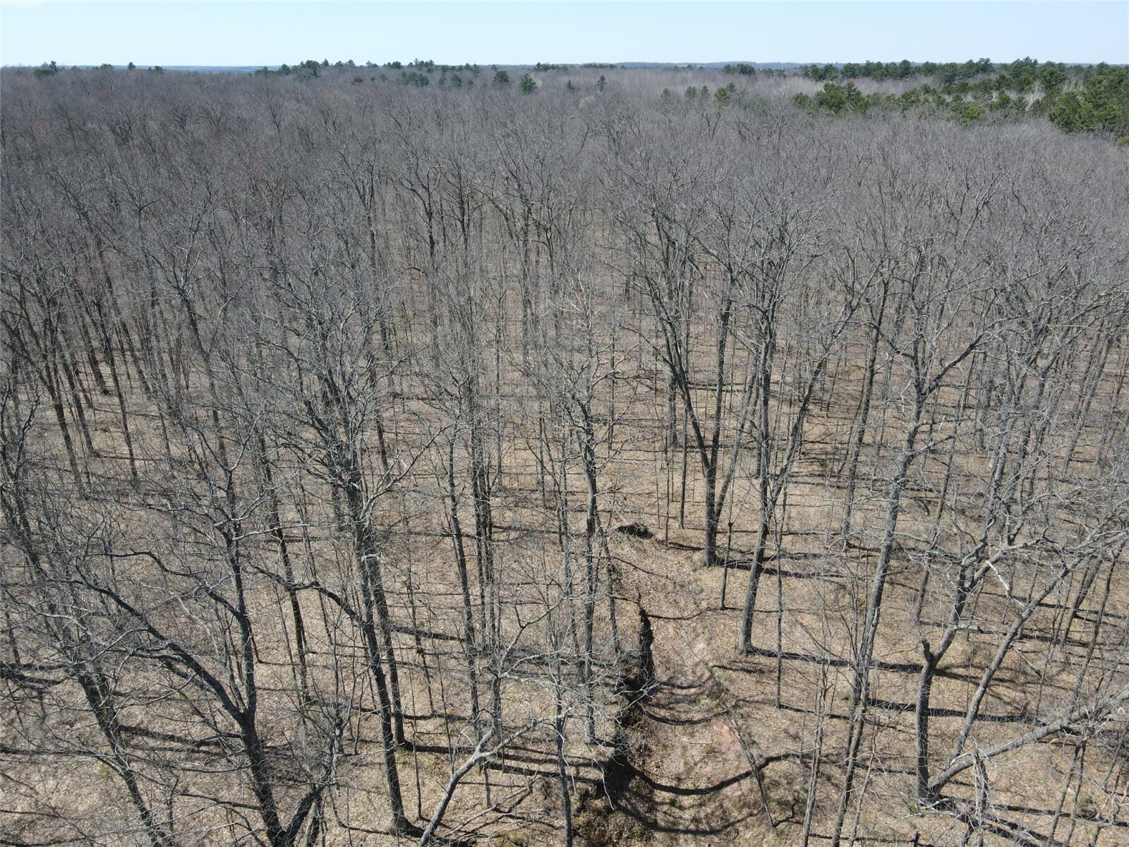 TBD Red Oak Lane, Stone Lake, WI — photo 11