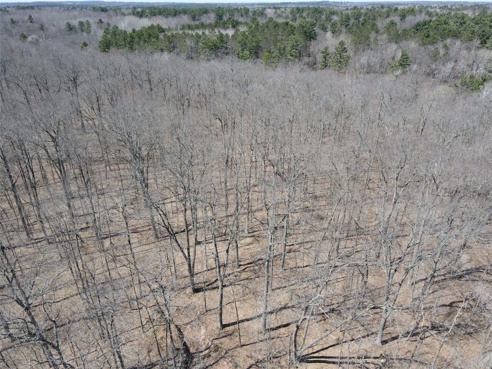 TBD Red Oak Lane, Stone Lake, WI — photo 12