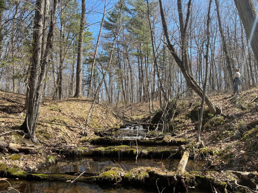 TBD Red Oak Lane, Stone Lake, WI — photo 13