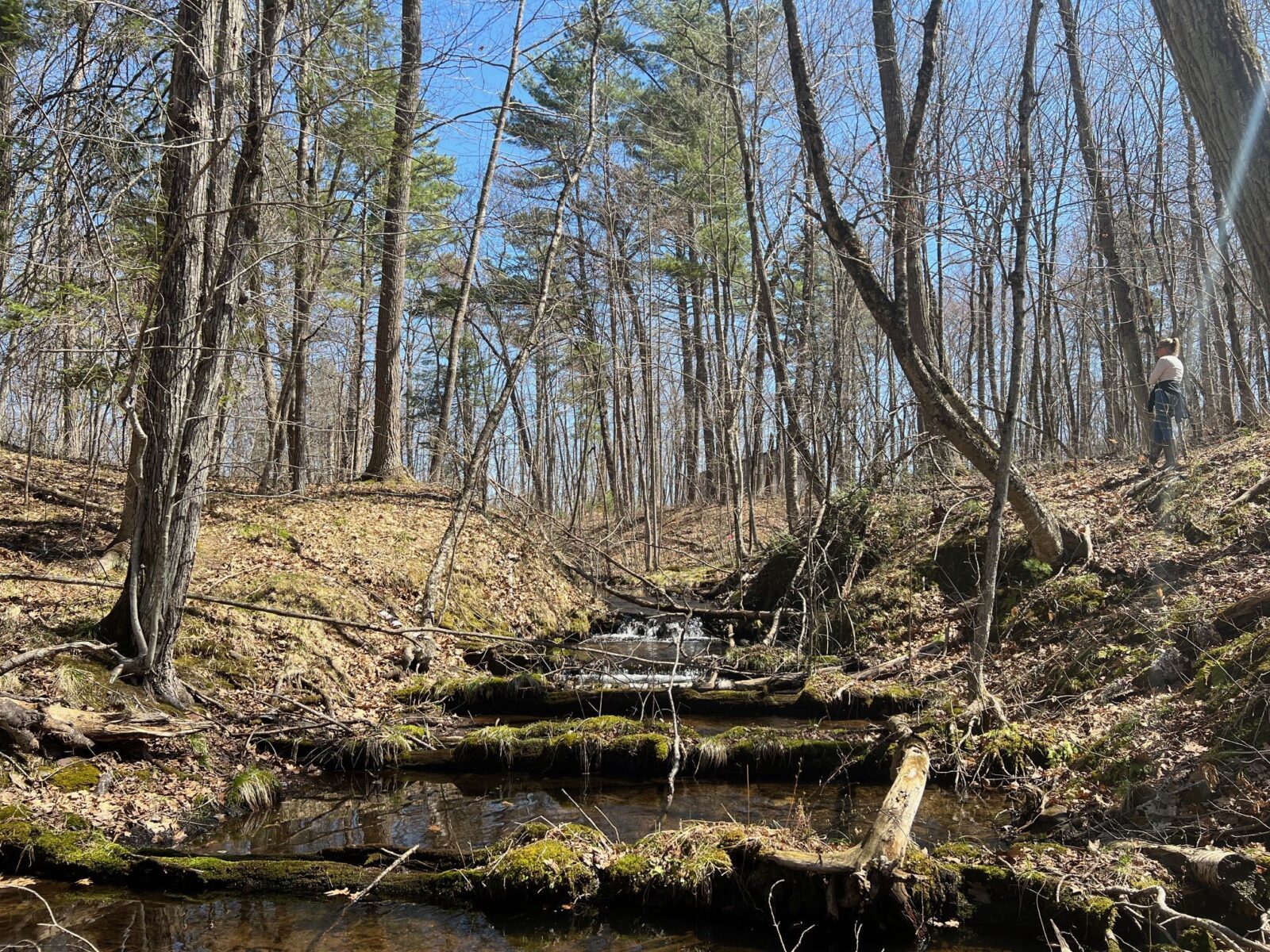 TBD Red Oak Lane, Stone Lake, WI — photo 13