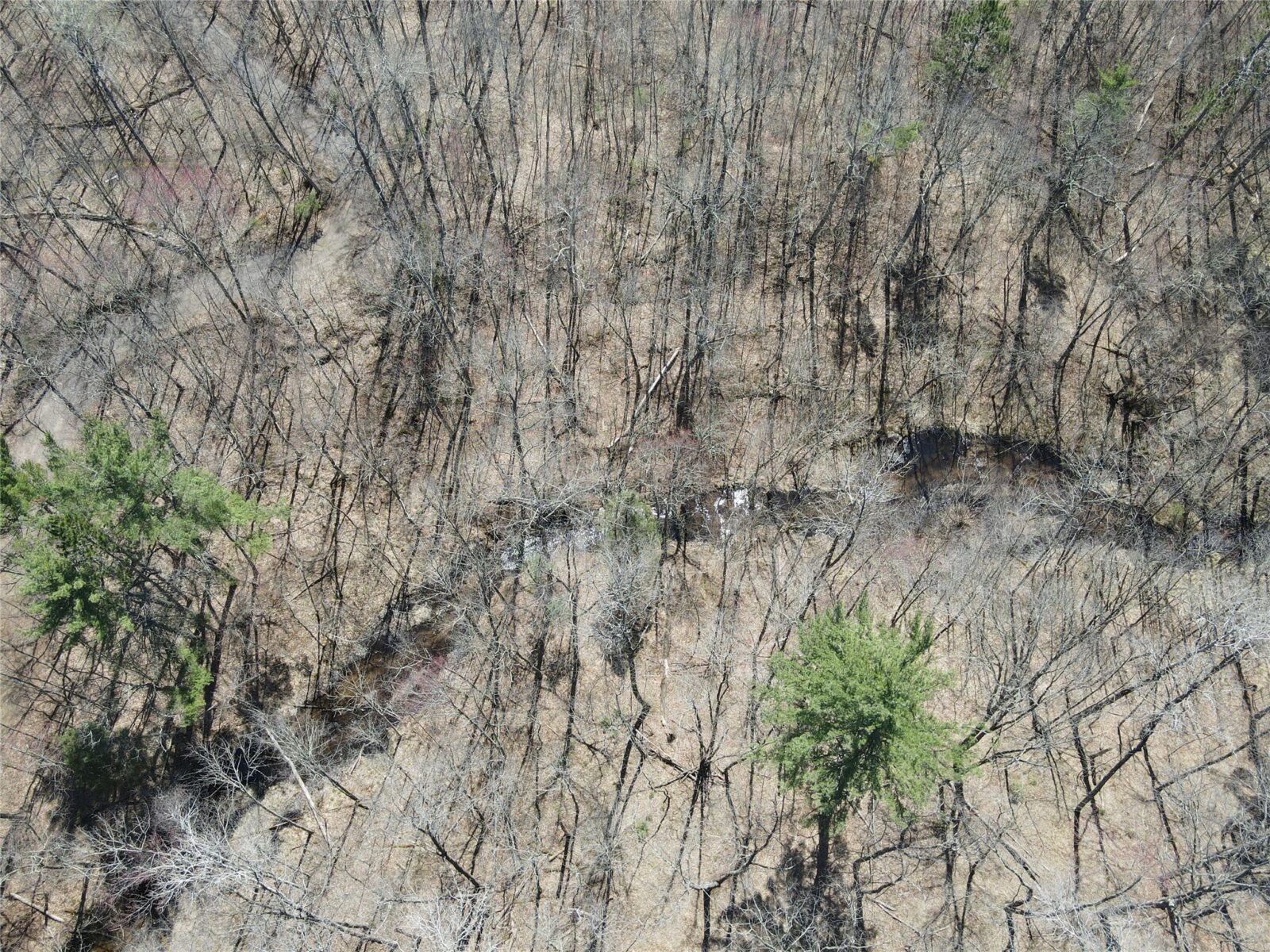 TBD Red Oak Lane, Stone Lake, WI — photo 2