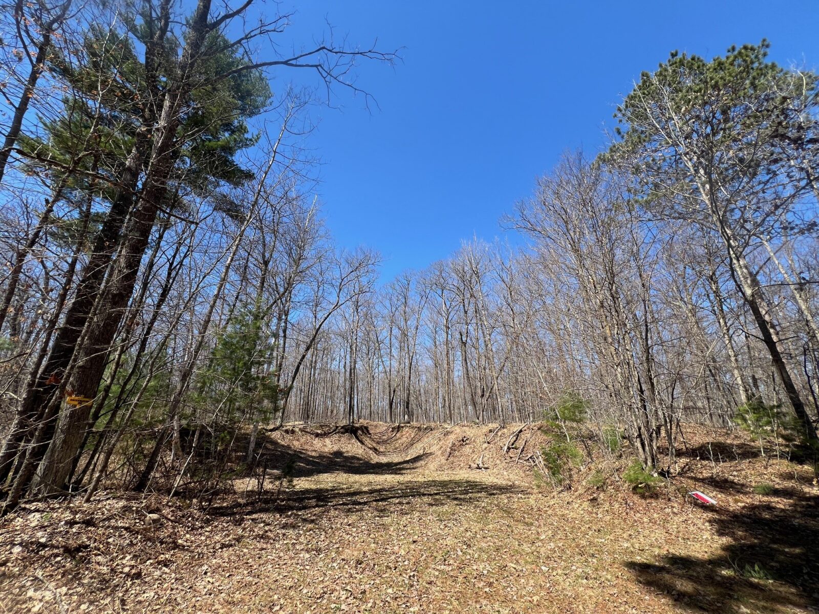 TBD Red Oak Lane, Stone Lake, WI — photo 3