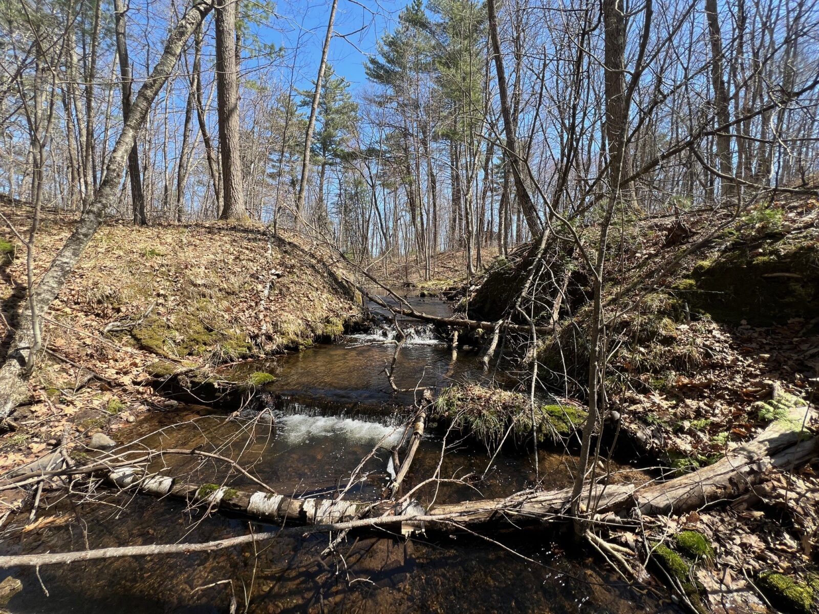 TBD Red Oak Lane, Stone Lake, WI — photo 5