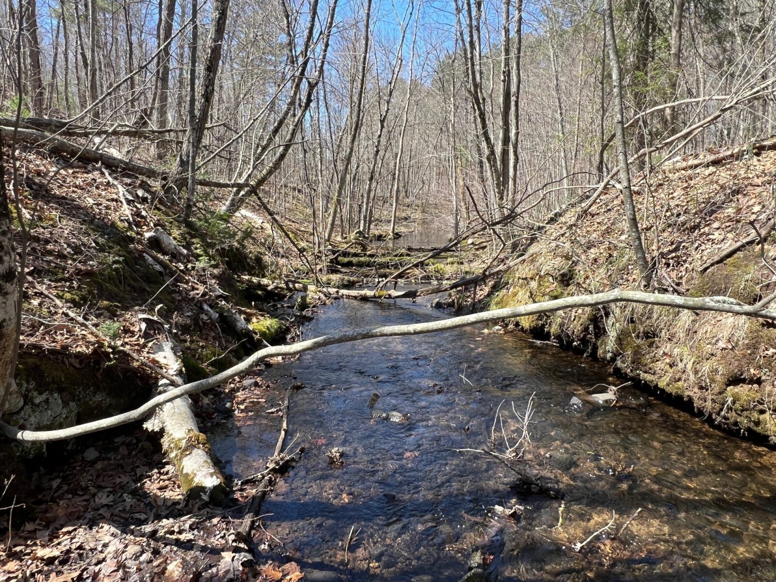 TBD Red Oak Lane, Stone Lake, WI — photo 6