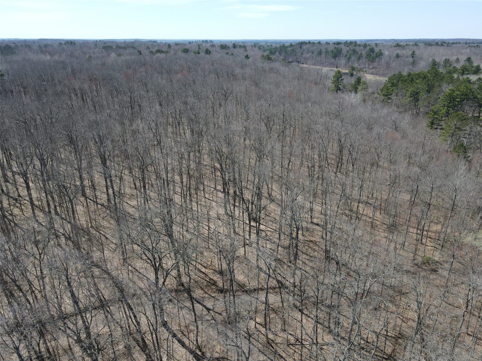 TBD Red Oak Lane, Stone Lake, WI — photo 8