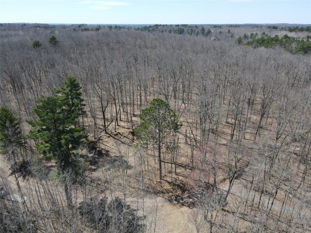 TBD Red Oak Lane, Stone Lake, WI — photo 9