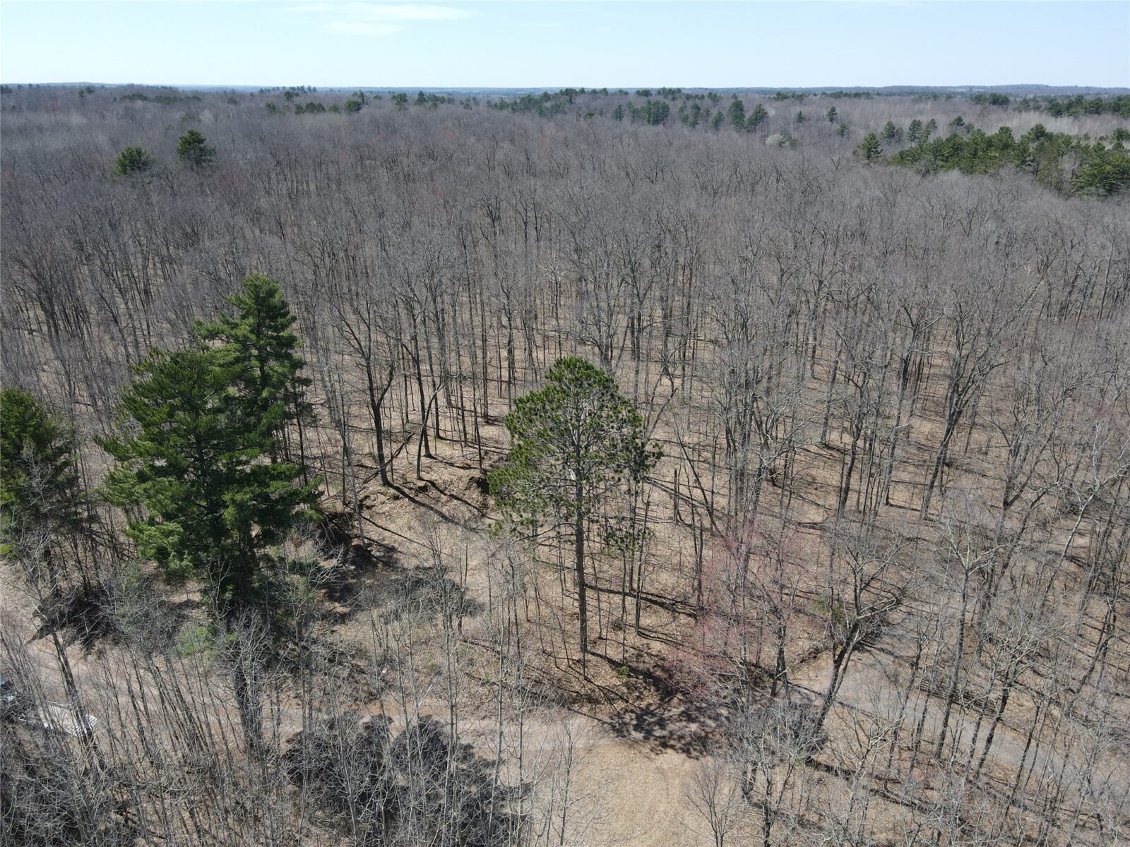 TBD Red Oak Lane, Stone Lake, WI — photo 9