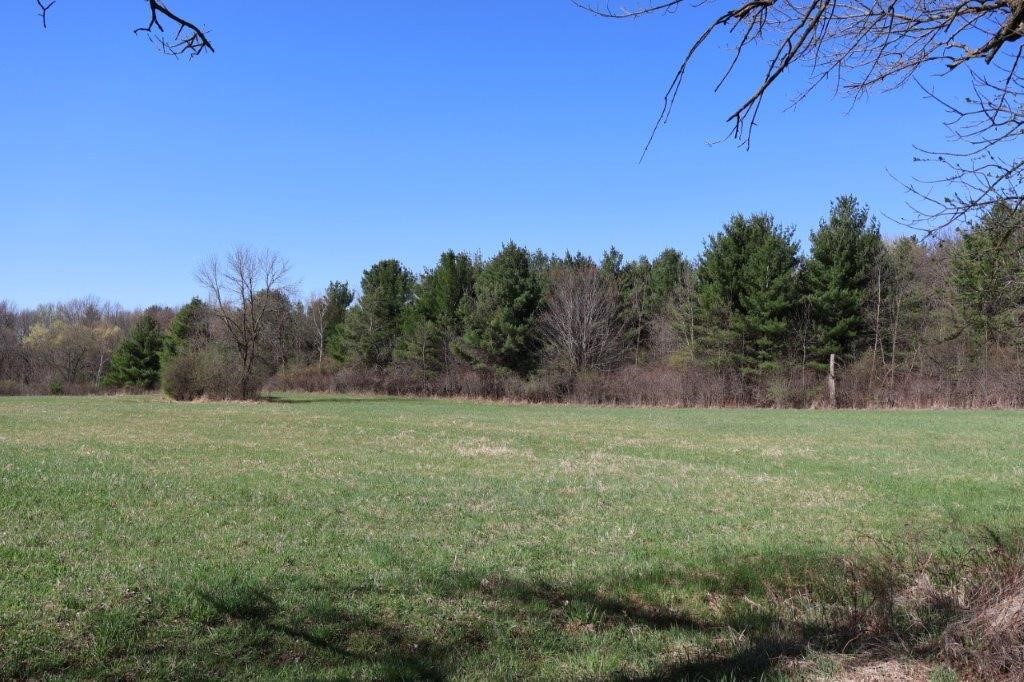 Land at TBD US Highway 63, Clear Lake, WI 54005 — photo 14
