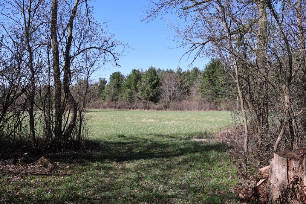 Land at TBD US Highway 63, Clear Lake, WI 54005 — photo 4