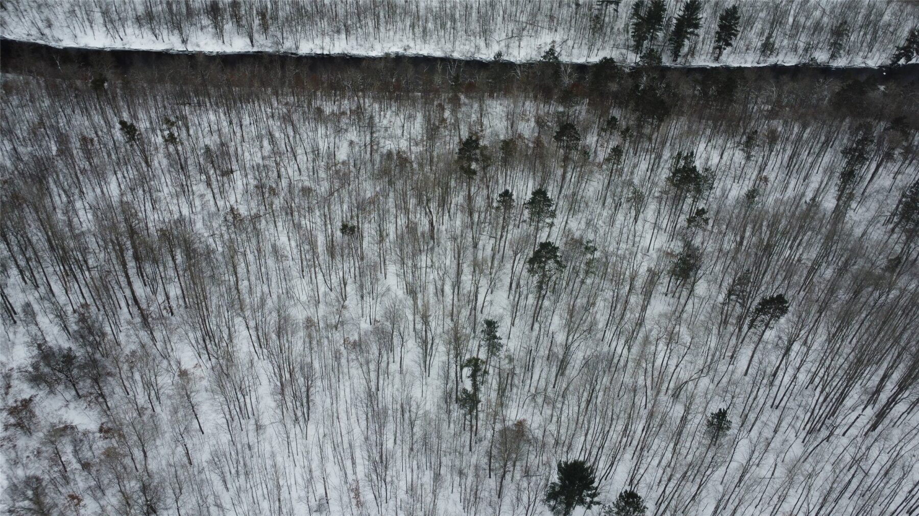 W 7975 Bramer Road, Trego, WI — photo 11