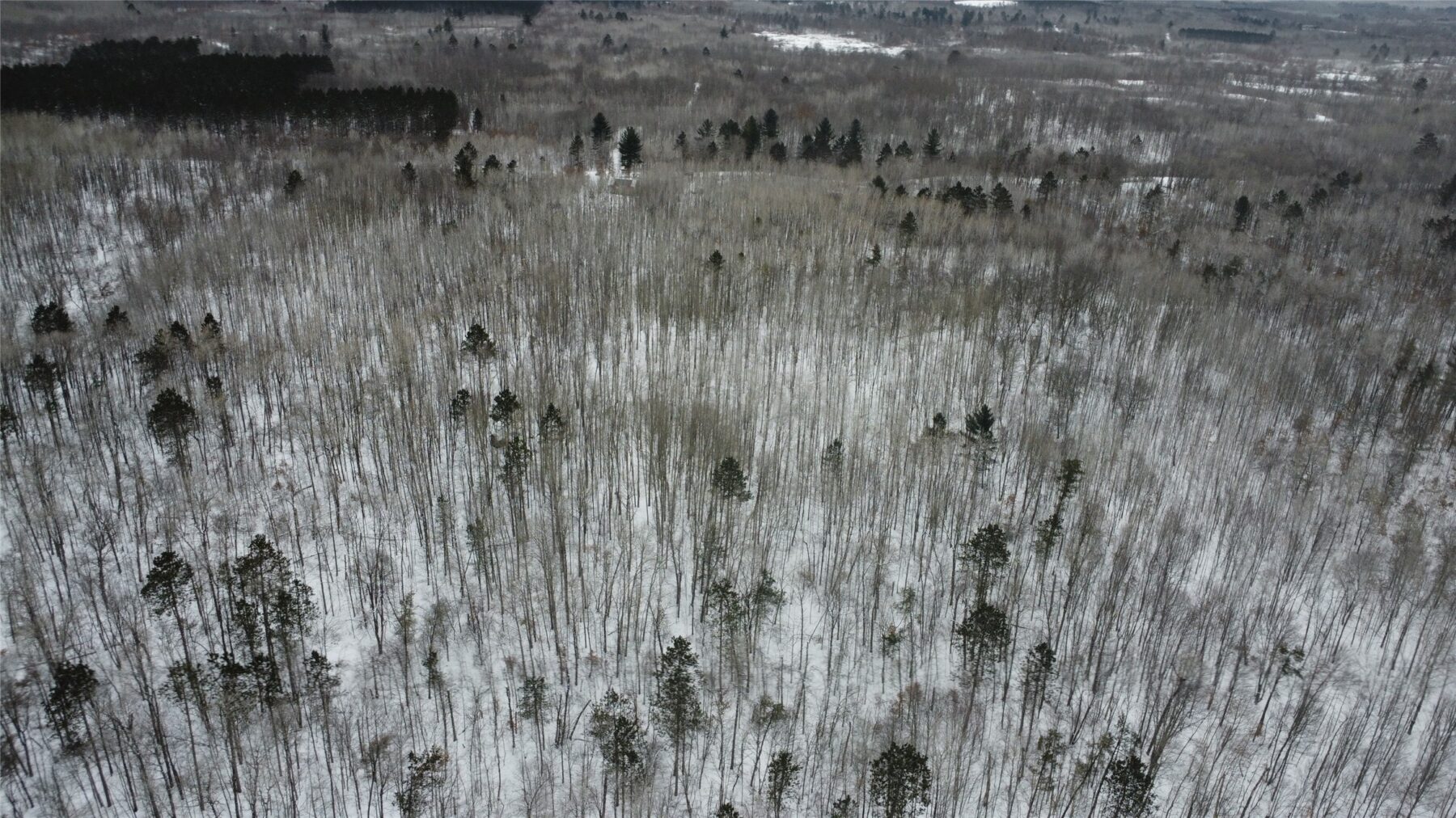 W 7975 Bramer Road, Trego, WI — photo 3