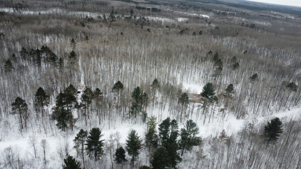 W 7975 Bramer Road, Trego, WI — photo 6