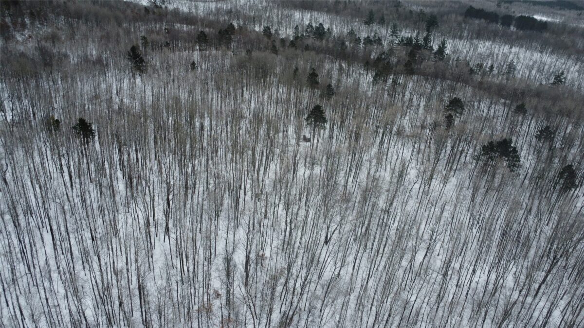 W 7975 Bramer Road, Trego, WI — photo 8