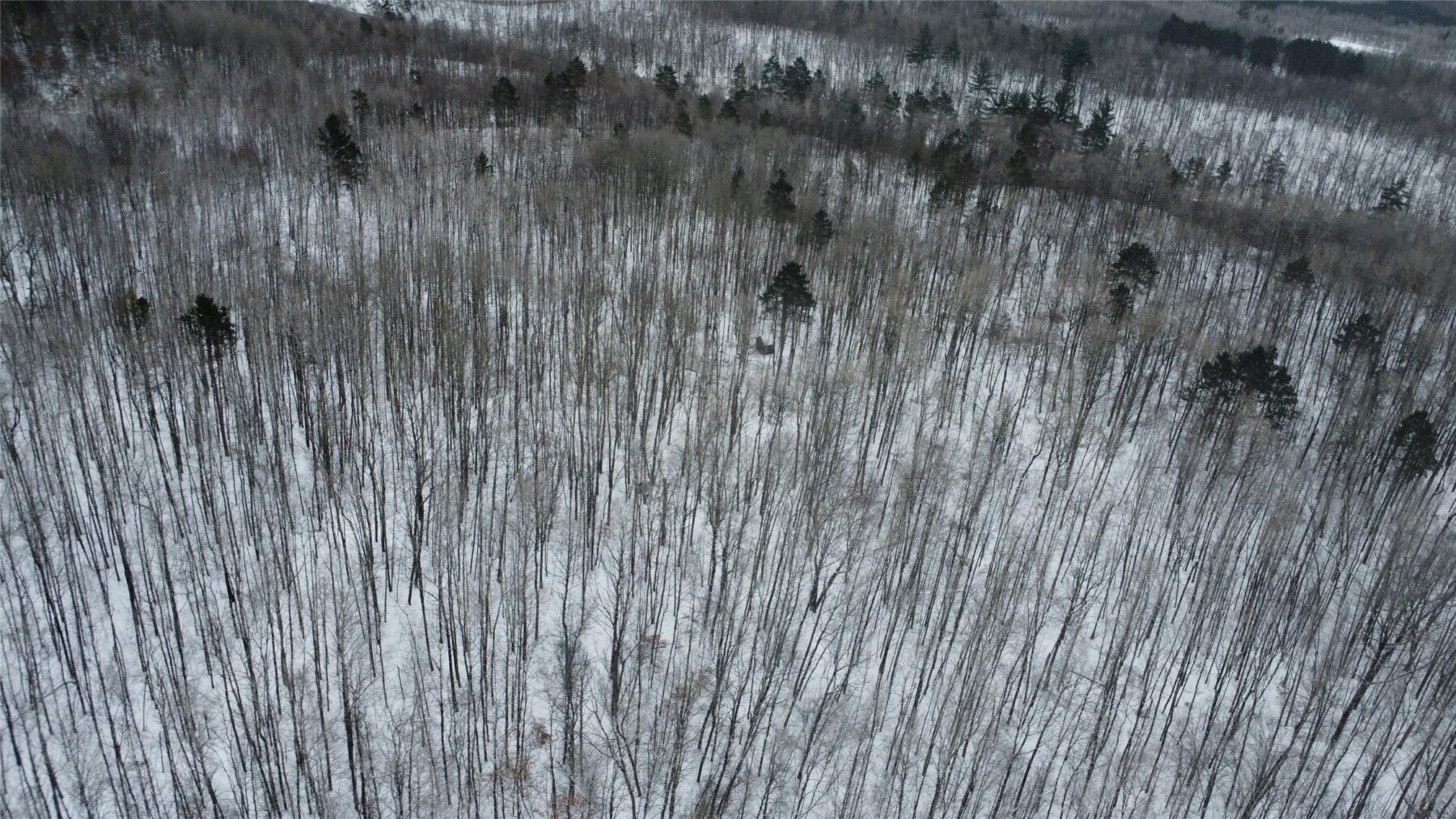 W 7975 Bramer Road, Trego, WI — photo 8