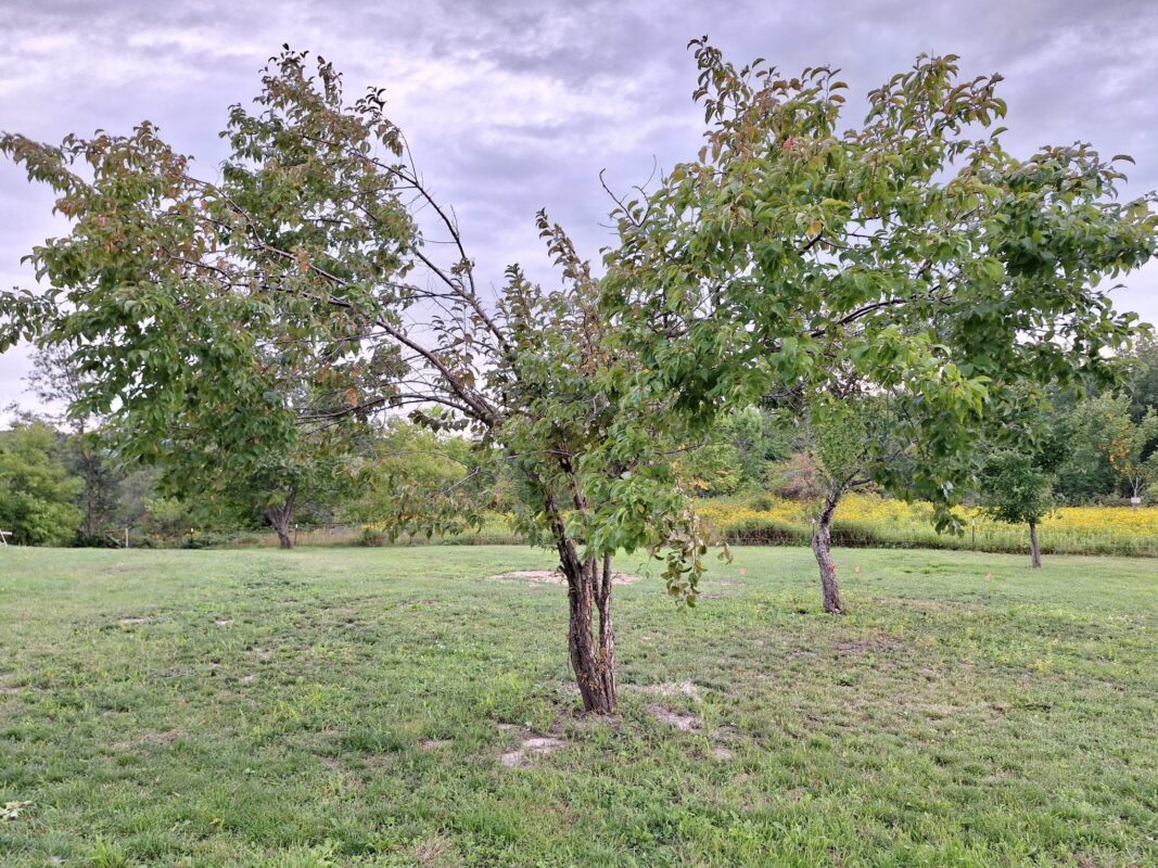 W15995 Random Ridge Road Weyerhaeuser WI 54895 — photo 14