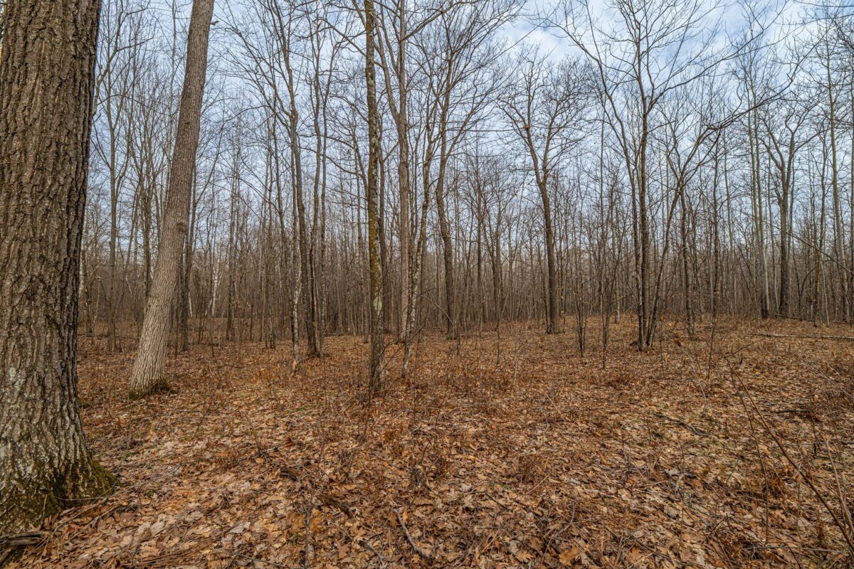 W2294 Highway 70 Spooner WI 54801 — photo 10