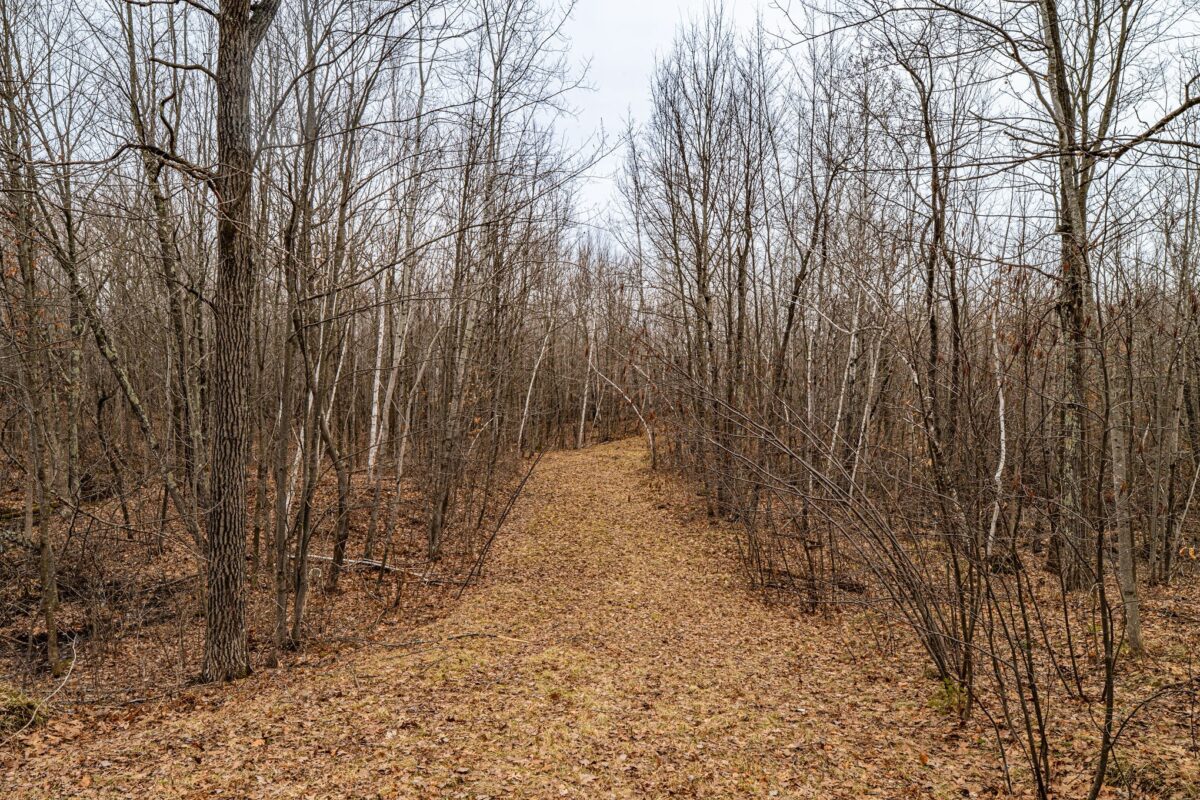W2294 Highway 70 Spooner WI 54801 — photo 12
