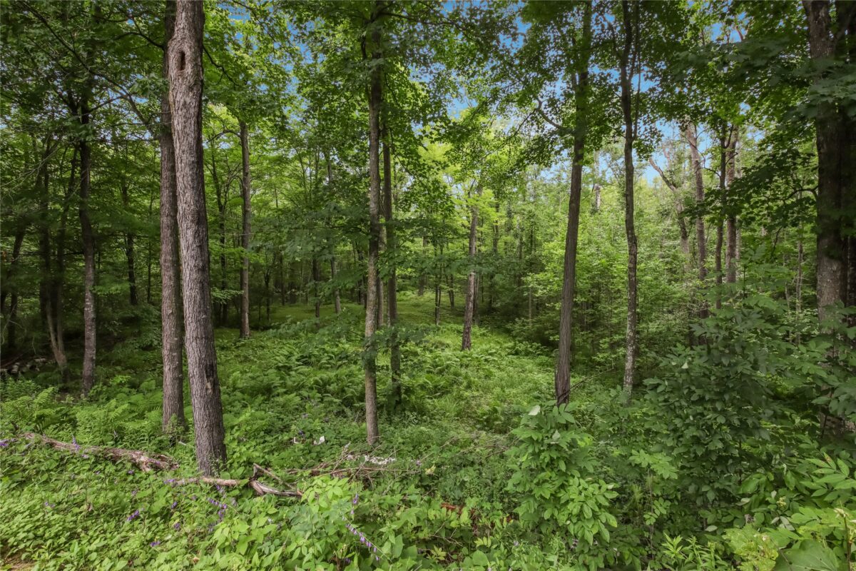 W2294 Highway 70 Spooner WI 54801 — photo 24