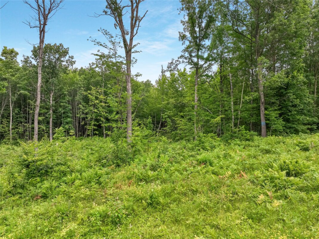 W2294 Highway 70 Spooner WI 54801 — photo 29