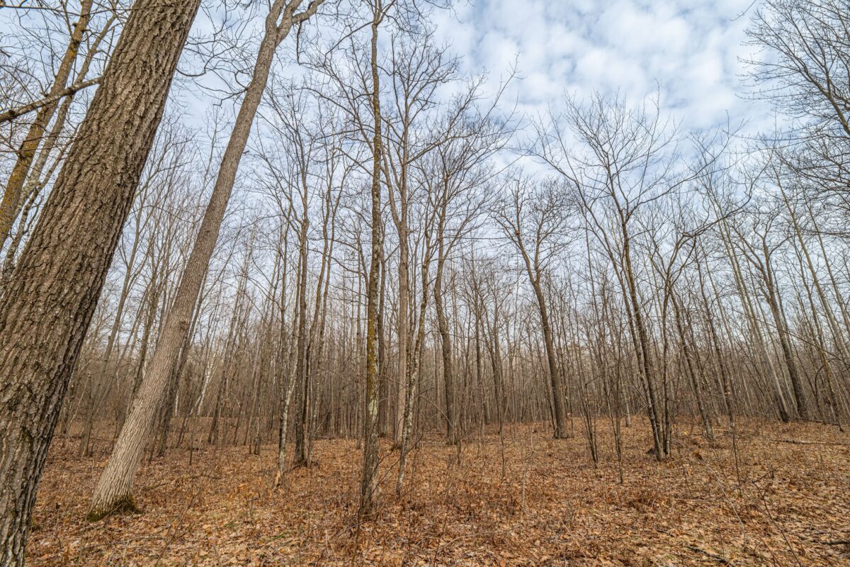 W2294 Highway 70  Spooner WI 54801 — photo 10