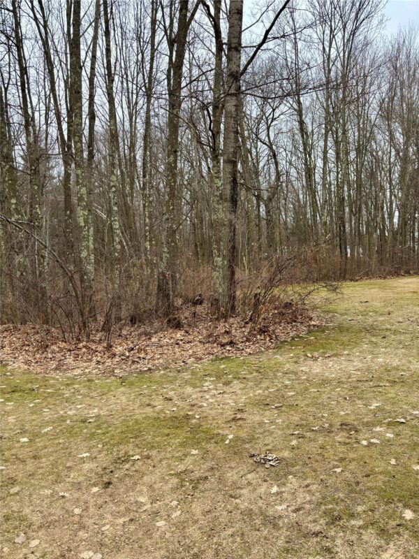 W855 Metcalf Road Stone Lake WI 54876 — photo 15