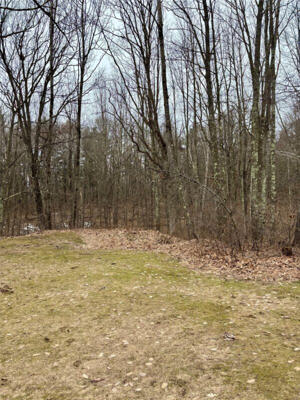W855 Metcalf Road Stone Lake WI 54876 — photo 16