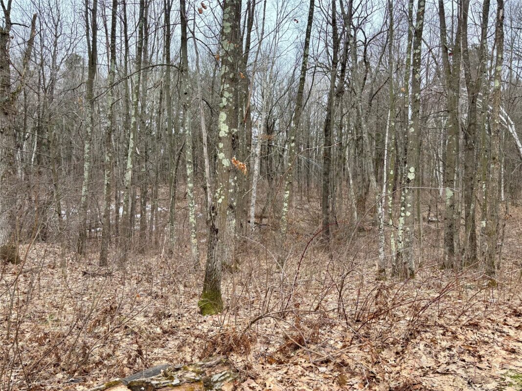 W855 Metcalf Road Stone Lake WI 54876 — photo 24