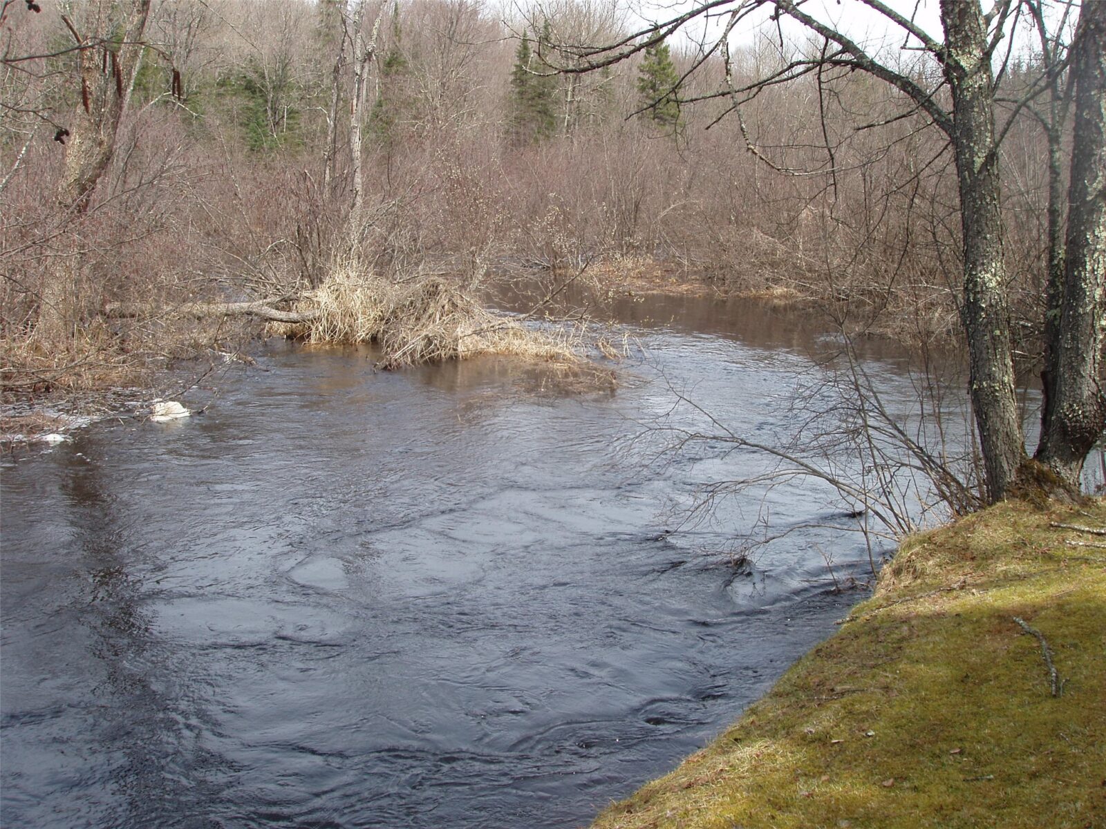 W9798 Fleming Road Park Falls WI 54552 — photo 38