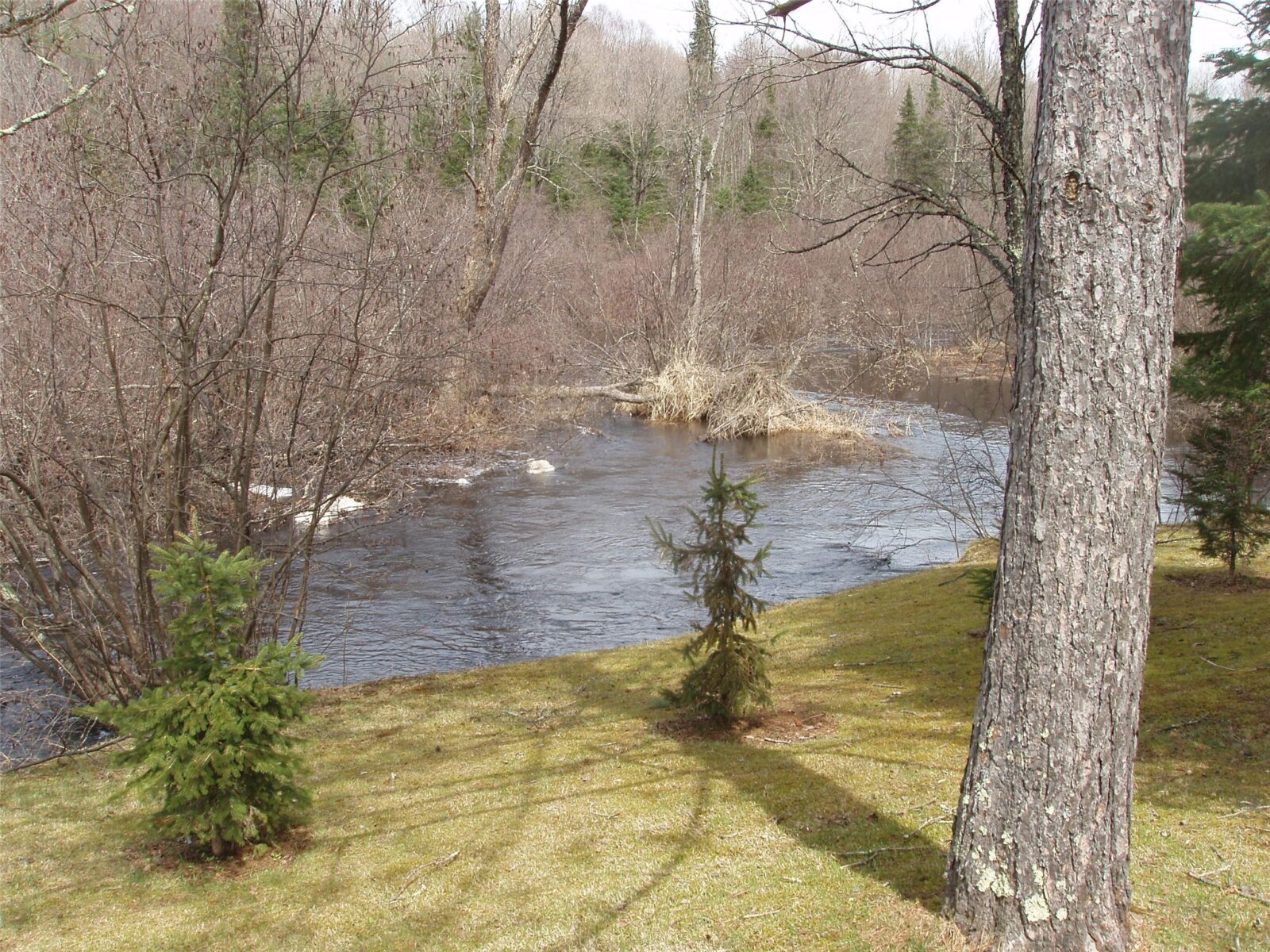 W9798 Fleming Road Park Falls WI 54552 — photo 39