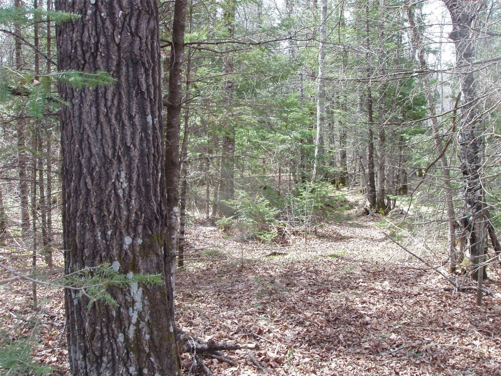 W9798 Fleming Road Park Falls WI 54552 — photo 41