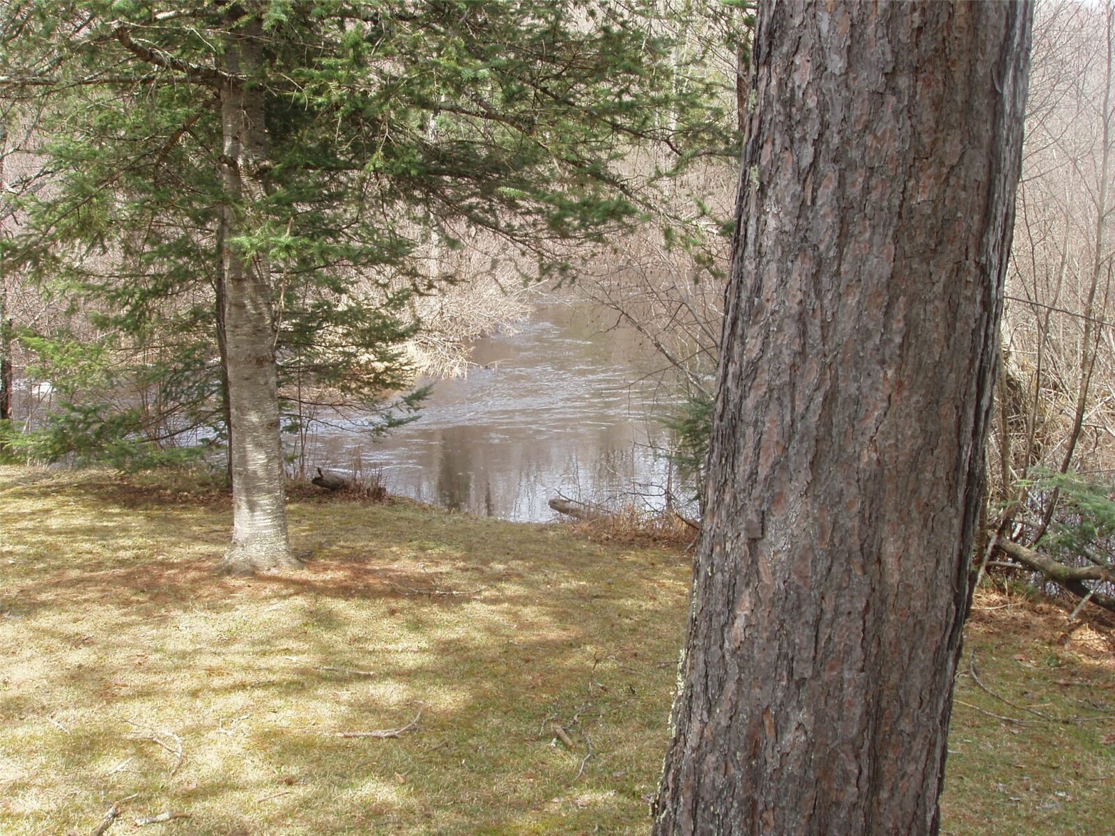 W9798 Fleming Road Park Falls WI 54552 — photo 7