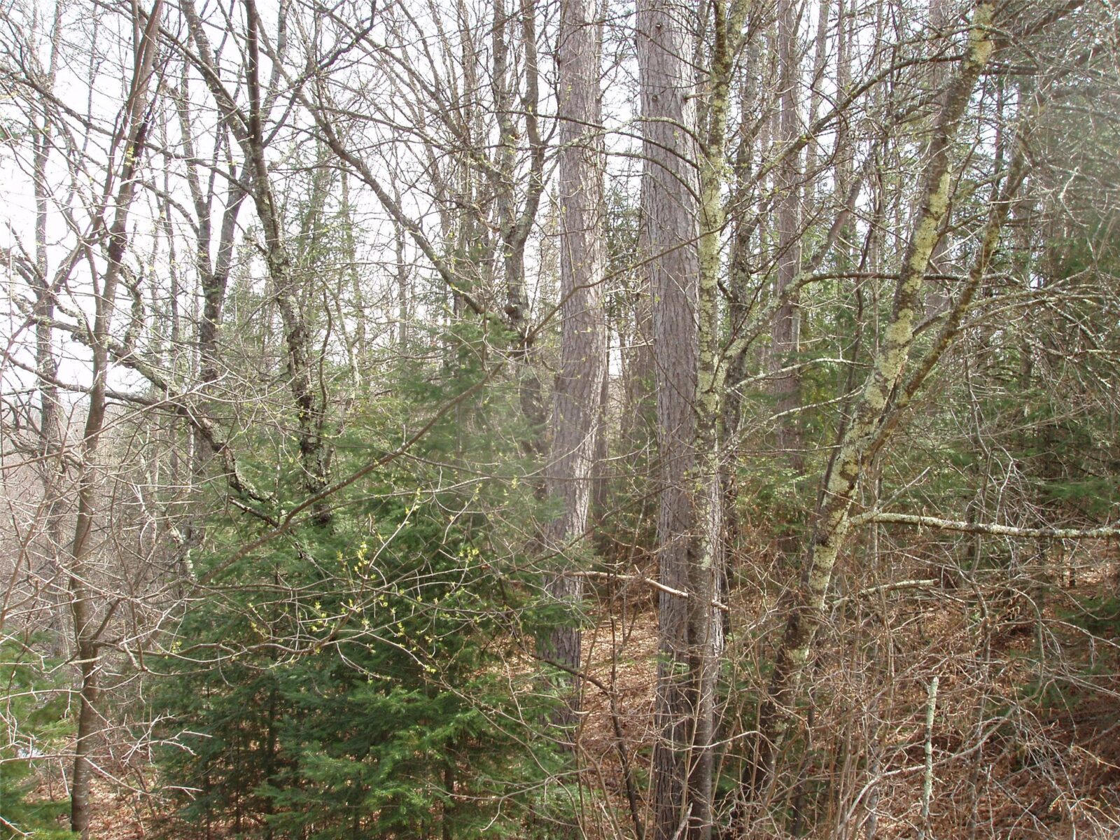 W9798 Fleming Road Park Falls WI 54552 — photo 9