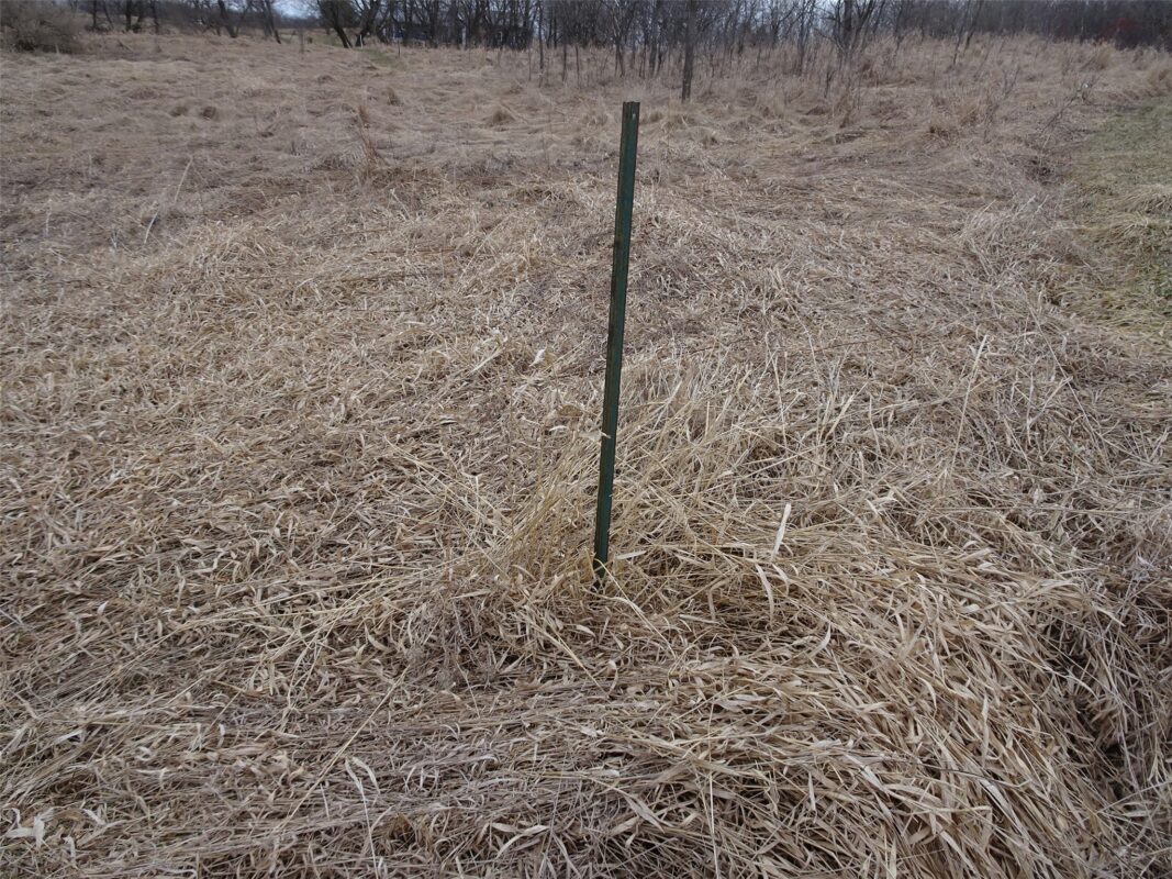 Land at XXX County Rd C, Amery, WI 54001 — photo 7