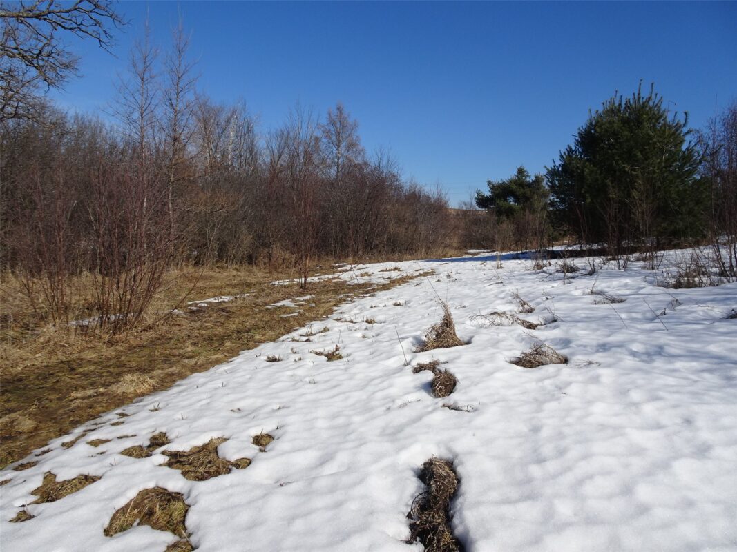 XXX Hwy 35 Frederic WI 54837 — photo 10