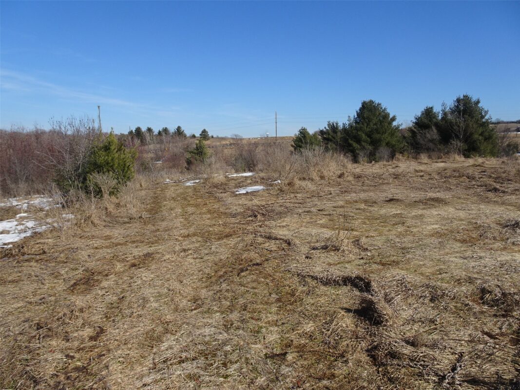 XXX Hwy 35 Frederic WI 54837 — photo 11