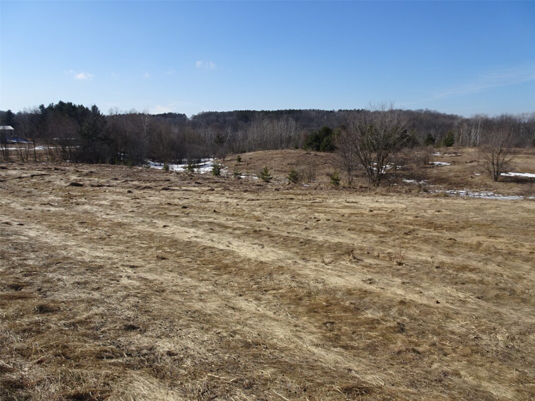 XXX Hwy 35 Frederic WI 54837 — photo 5