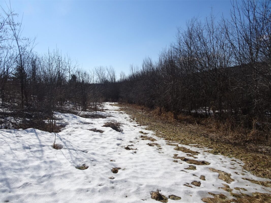 XXX Hwy 35 Frederic WI 54837 — photo 8