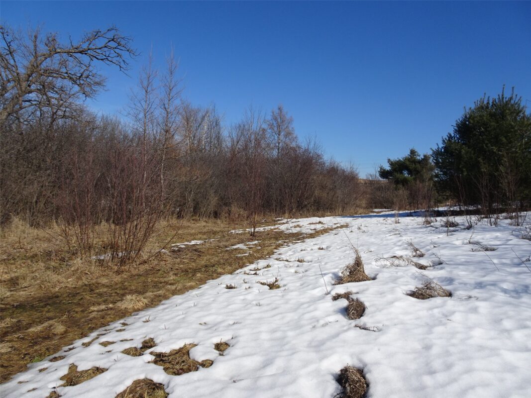 XXX Hwy 35 Frederic WI 54837 — photo 9