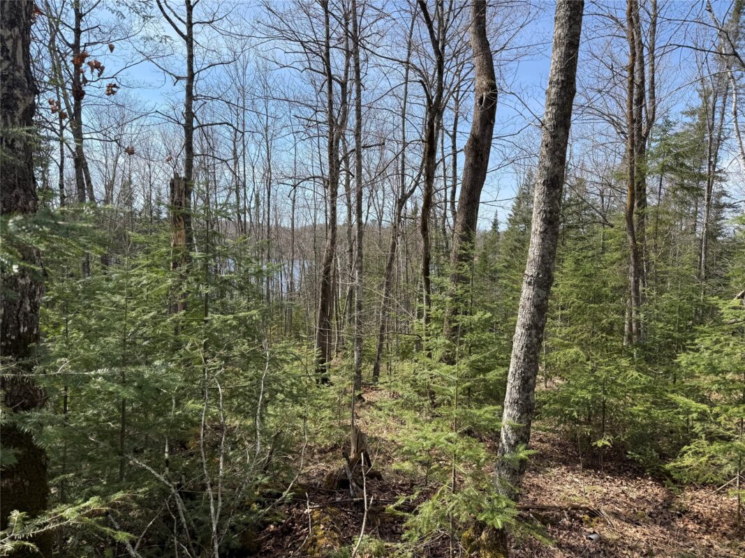 XXX Long Lake Road, Stone Lake, WI — photo 16