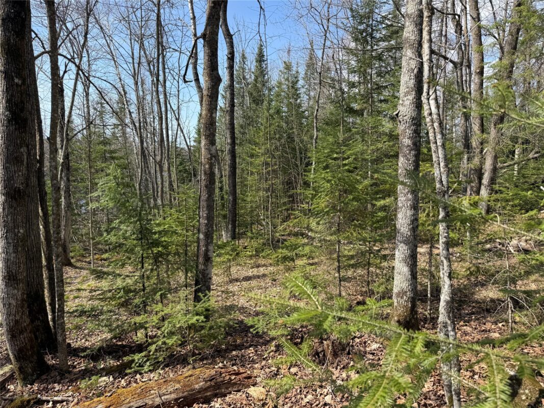 XXX Long Lake Road, Stone Lake, WI — photo 17