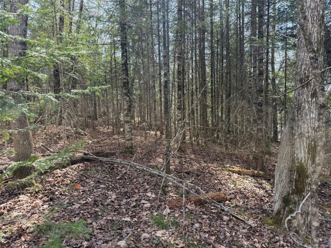 XXX Long Lake Road, Stone Lake, WI — photo 18