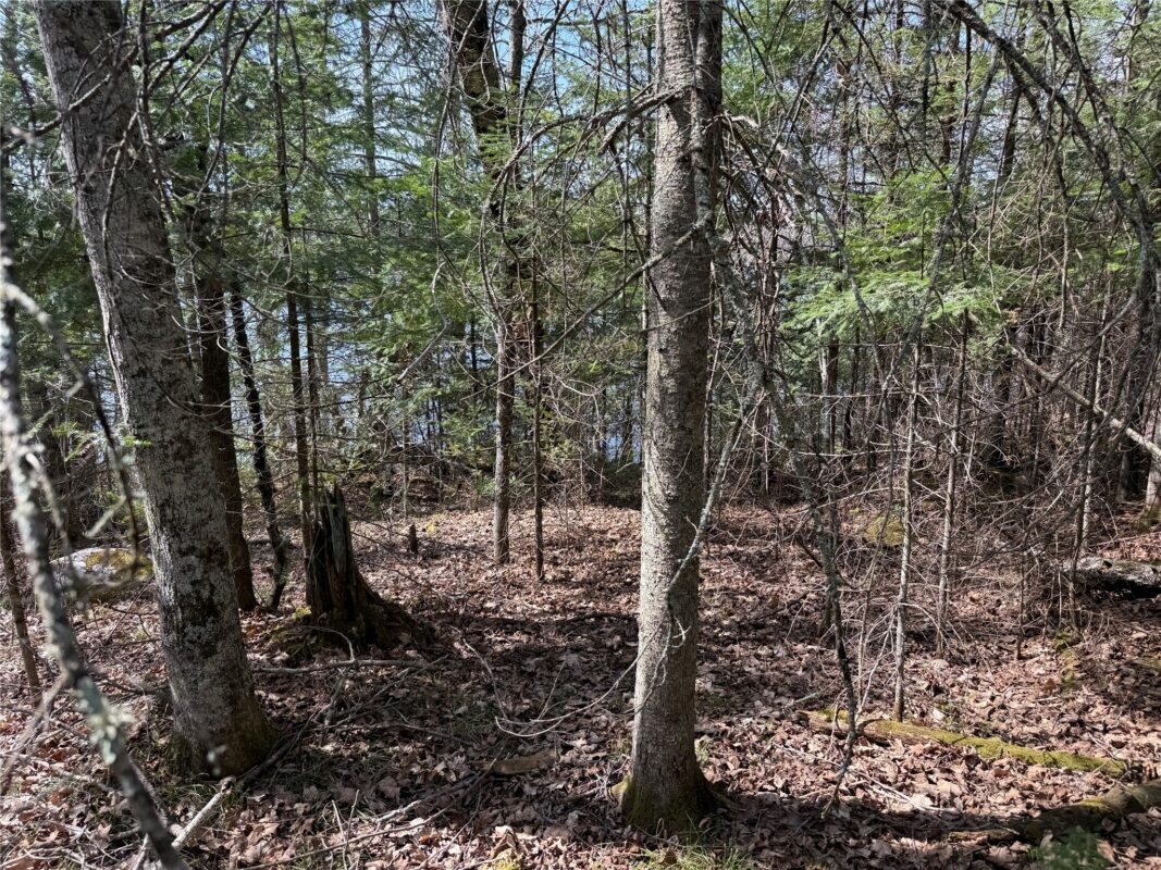 XXX Long Lake Road, Stone Lake, WI — photo 19