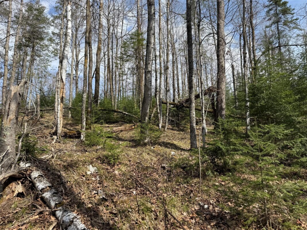XXX Long Lake Road, Stone Lake, WI — photo 20