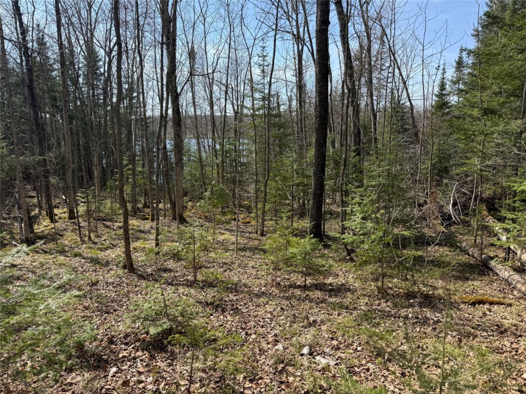 XXX Long Lake Road, Stone Lake, WI — photo 21