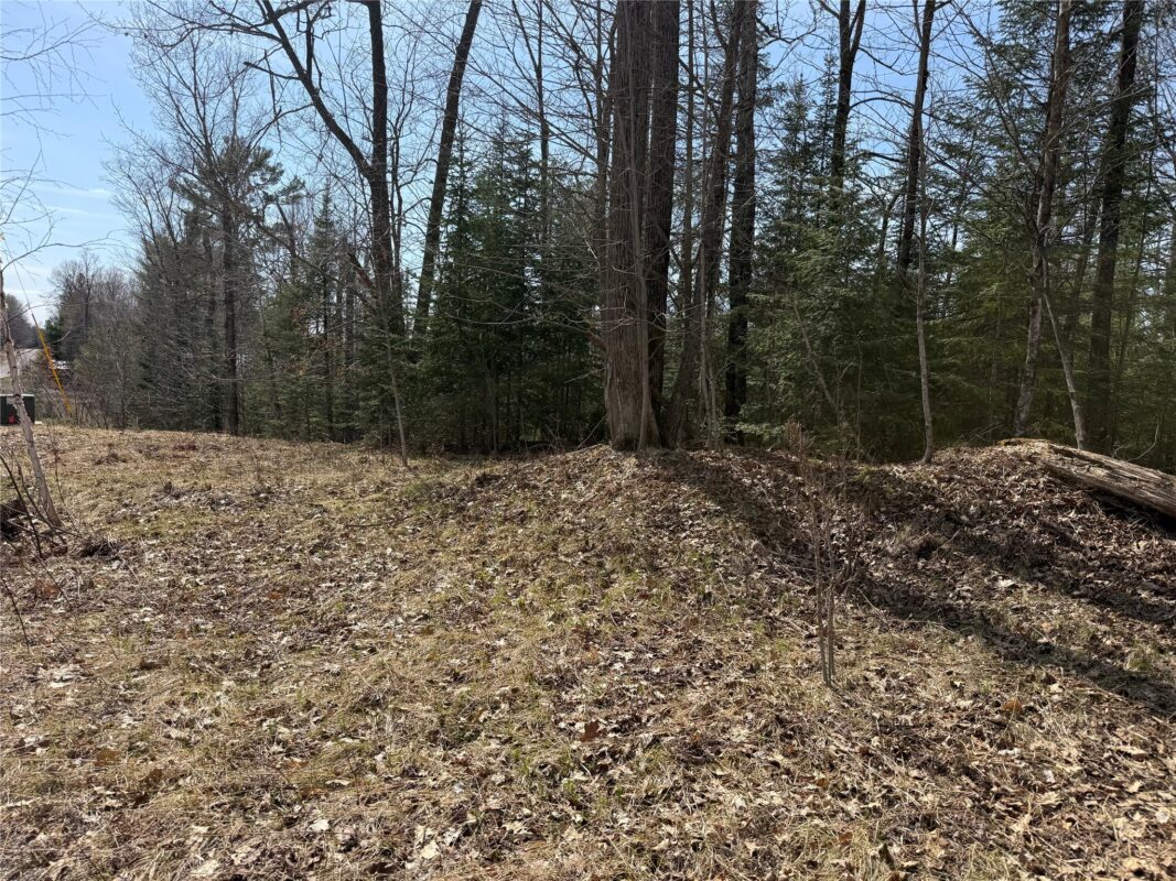 XXX Long Lake Road, Stone Lake, WI — photo 22