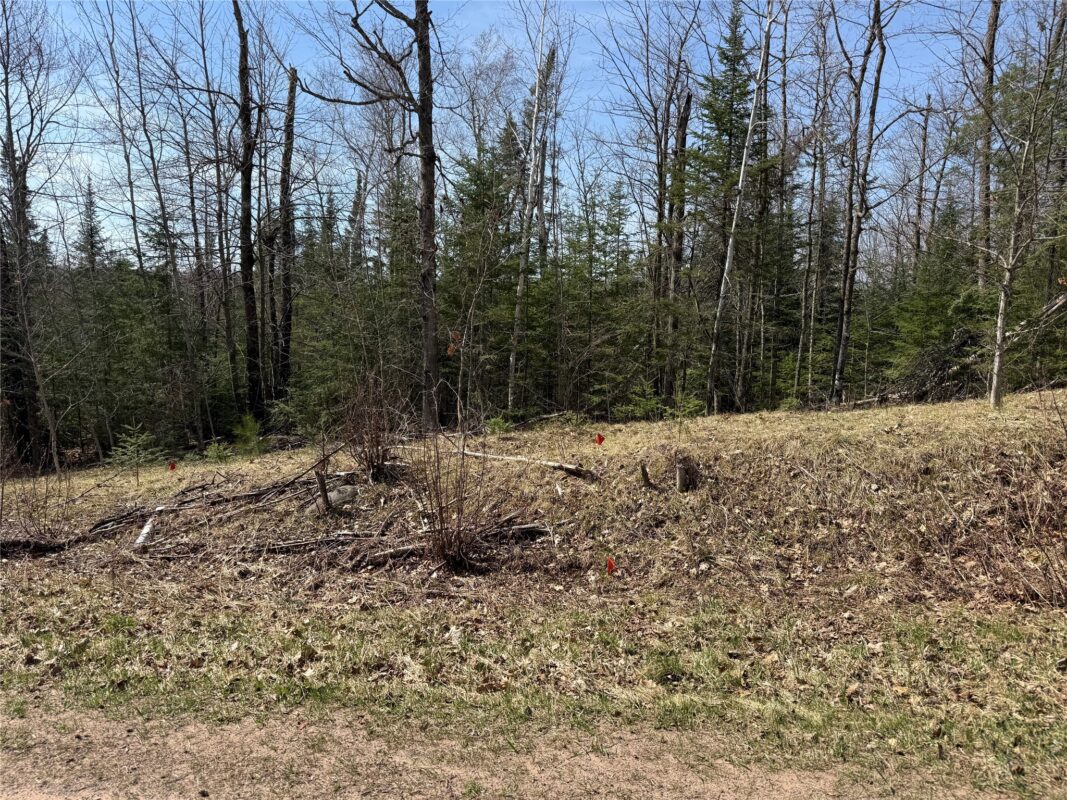 XXX Long Lake Road, Stone Lake, WI — photo 23