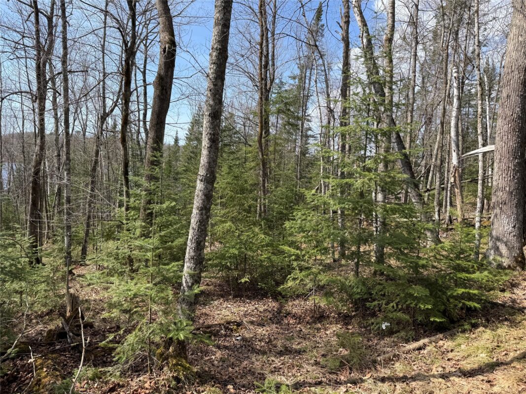 XXX Long Lake Road, Stone Lake, WI — photo 5