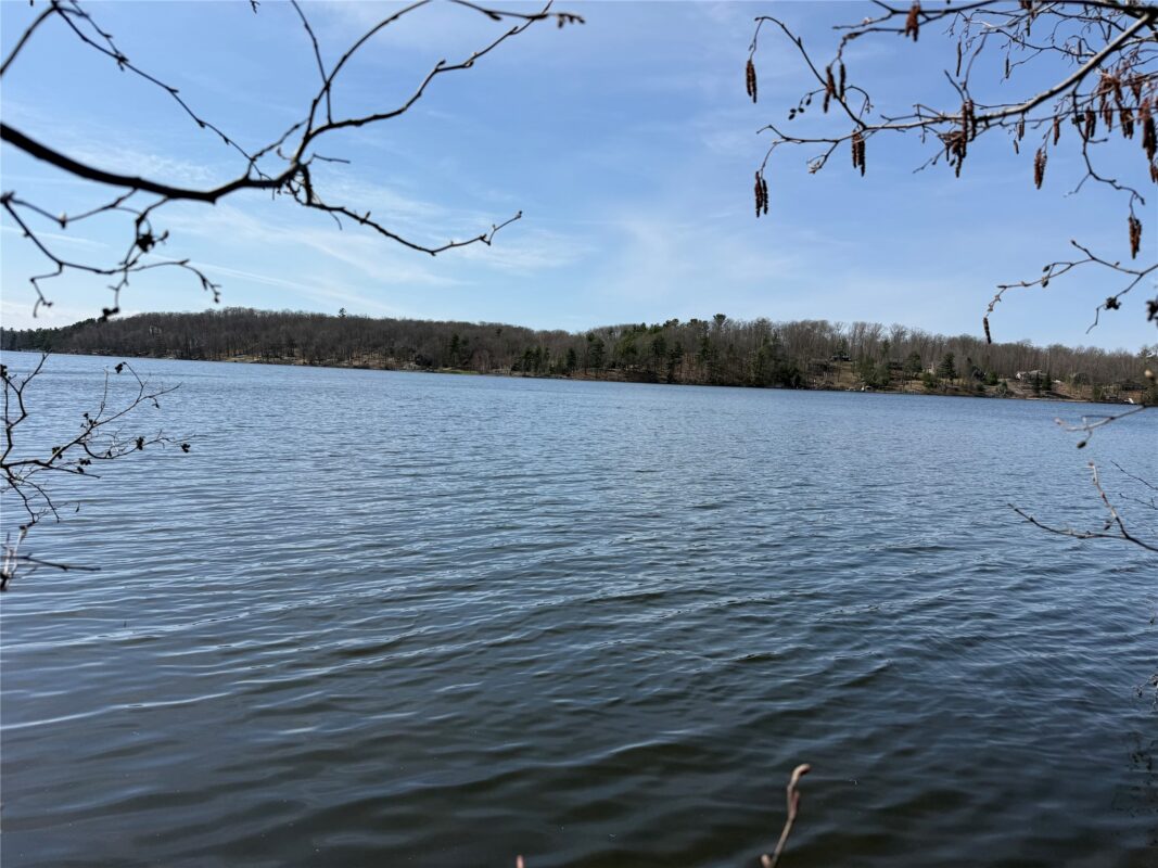XXX Long Lake Road, Stone Lake, WI — photo 7